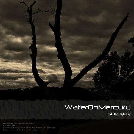 Water on Mercury